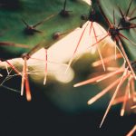 插小妹妹 ny2juk01