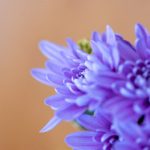 黄色网站有哪些 ce29ag